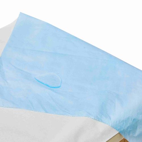 China Telijie Disposable Bed Sheet Roll, PP+PE Non-Woven Fabric Multi-Color, Waterproof for Hotel, Home & Travel Fabricante
